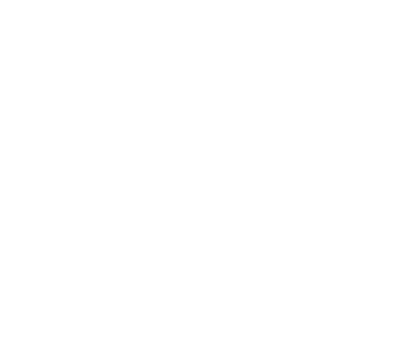 MVD-Michiels_01122024_#2-White-Logo